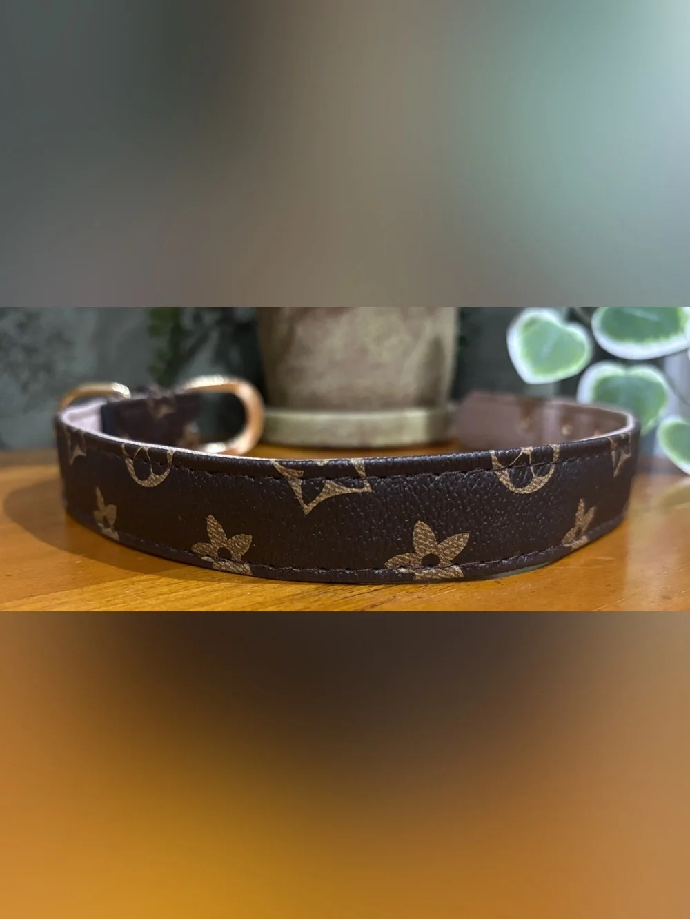 NWOT Luxury Look Brown Monogram Leather Dog Collar and Leash